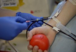 Донор болудың адам ағзасына пайдасы